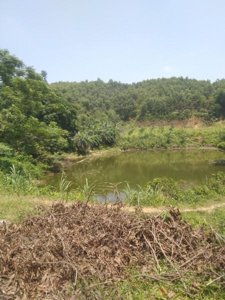 Đi đến slide 11