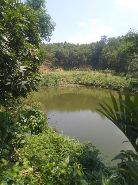 Đi đến slide 7