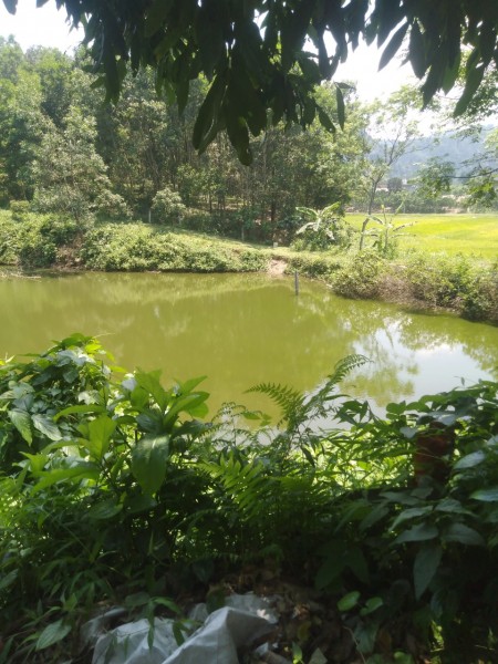 Đi đến slide 5