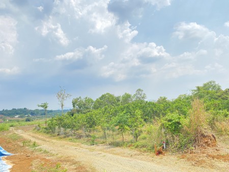 Đi đến slide 9