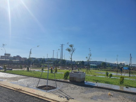 Đi đến slide 5