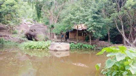 Bán đất triền đồi 5ha4 giá chỉ 1 tỷ xã Ninh Tân LH 0788.558.552