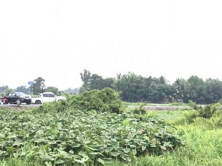 Đi đến slide 3
