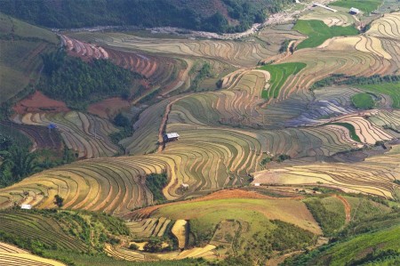 Đi đến slide 4