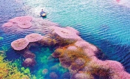 Kẹt tiền bán gấp đất thổ cư nghỉ dưỡng chính chủ trong tuần Đambri Bảo Lộc Lâm Đồng
