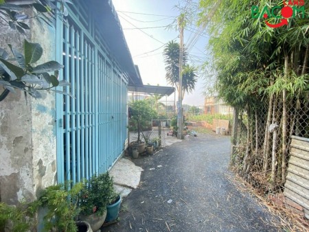 Cần bán lô đất phường Tân hạnh, sổ riêng, giá rẻ cho nhà đầu tư
