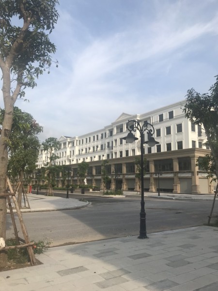 Quỹ căn TMDV Vinhomes Ocean Park tiềm năng kinh doanh tốt
