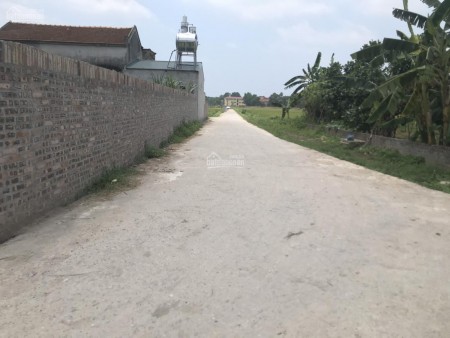 Chỉ Có Tại Bìa Làng Đông Lai Quang Tiến Sóc Sơn Hà Nội