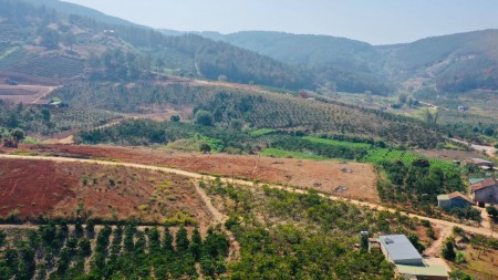 LÔ ĐẤT 560m2, cách chợ Tân Hà, Lâm Hà 2km, chỉ 600 triệu