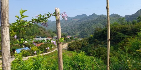 Đi đến slide 7
