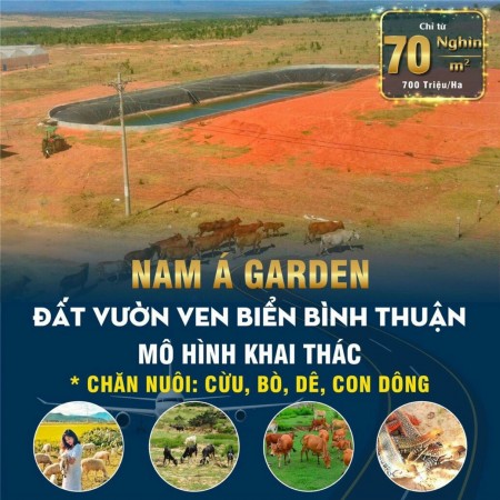 Đi đến slide 6