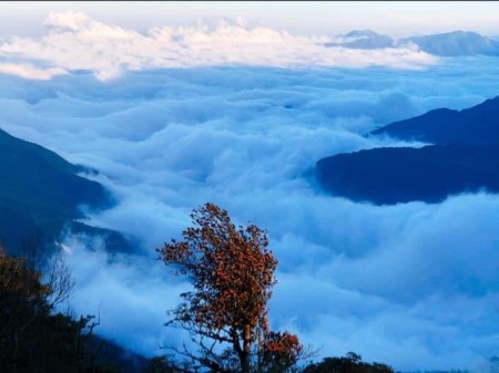 Bán đất khu đấu giá Y Tý, Bát Xát lào cai .