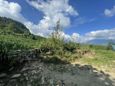 Đi đến slide 3