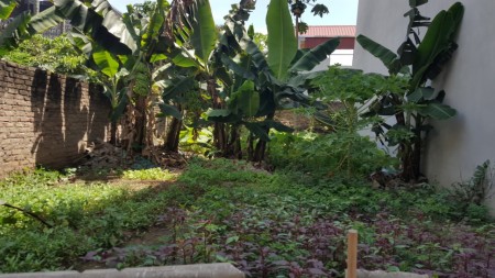 Bán đất Liên Ninh, Thanh Trì, ô tô vào nhà, dtsd 45m2, giá 3.5 tỷ
