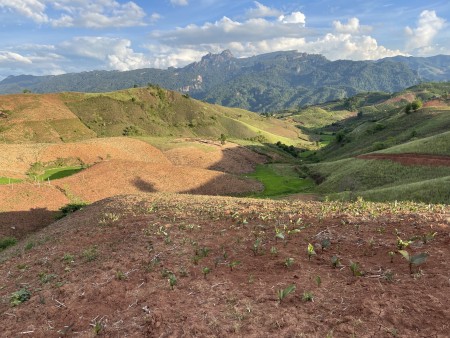 Đi đến slide 2