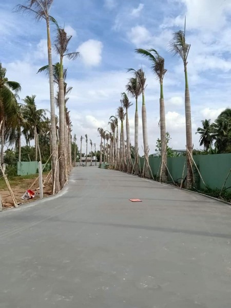 Đi đến slide 3