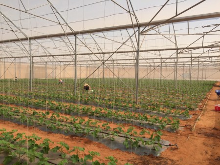 Lô đất 2 mặt tiền cực hiếm mùa covid cách ngã 4 liên huyện chỉ 300m - ngay khu dân cư
