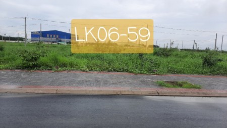 Cặp gốc lộc phát siêu đẹp nhanh tay kẻo hết