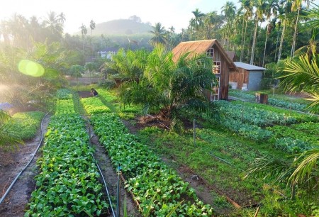 Bán đất Bình Phước giá rẻ, gần KCN, đông dân cư, 180tr/1000m2