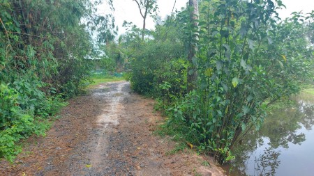 Đi đến slide 7