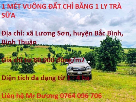 Bán đất giá rẻ khu dân cư đông, ven biển, sinh lời cao, vốn đầu tư thấp