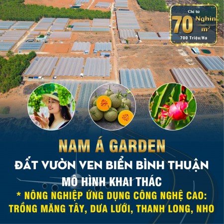 Đất ven biển Bình Thuận, giá bán chỉ 70 nghìn/m2, liên hệ 0902696405
