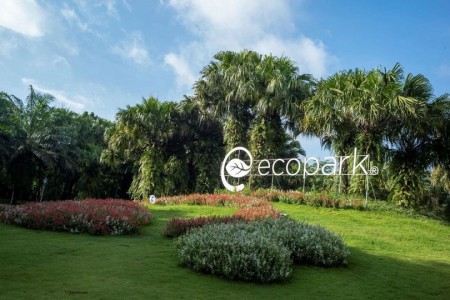 Chung cư Ecopark ăn 45M, Toà B Westbay, full nội thất, bao thuế phí, giá bán 1.09 tỷ