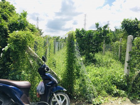 (Tôi chính chủ) Cần bán đất nền đường ô tô tới đất!!! Có hỗ trợ trả góp