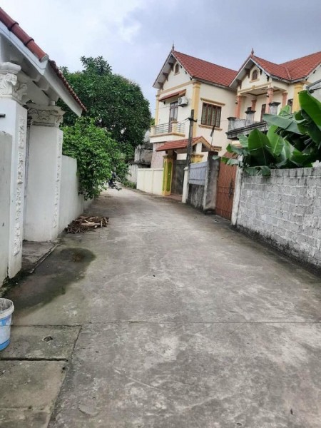 Cần bán gấp lô 2 Mặt Tiền Cổ Chế huyện Phú Xuyên, Hà Nội, đường lớn