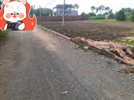 Bán Đất Dầu Tiếng Bình Dương hơn 2000m2 giá chỉ 700t. Sổ sẵn