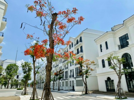 Bán nhà phố Manhattan tại Vinhomes Grand Park vị trí cực đẹp hỗ trợ vay ngân hàng 80% ân hạn gốc lãi 2 năm.LH 0363583647