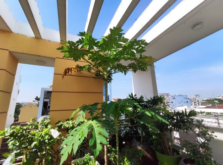 Bán nhà đẹp 5 tầng khu thượng lưu sinh sống, tập trung văn phòng Building, Thẩm Mỹ Viện