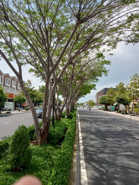 Đi đến slide 4