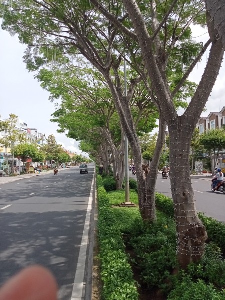 Đi đến slide 5