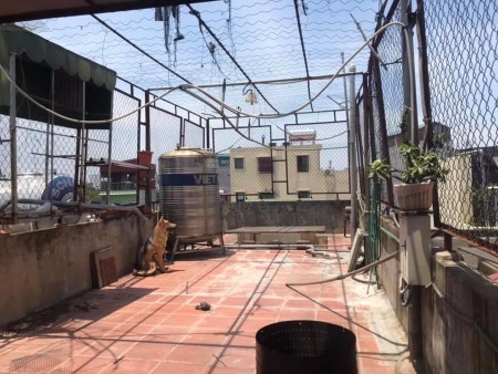 Đi đến slide 4