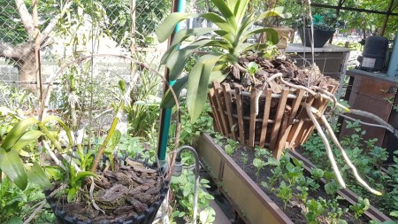 Đi đến slide 6