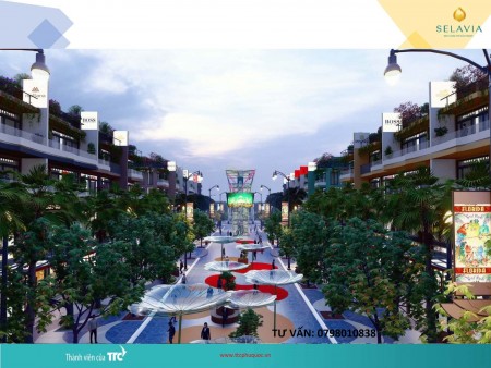 Đi đến slide 3