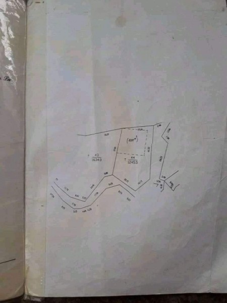Bán mảnh đất tại xã Mường Sang, Mộc Châu đã có sẵn cây ăn quả được thu hoạch