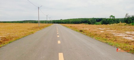 Gia đình tôi có mua 2 mẫu đất đường rộng 16m đối diện KCN cần bán để trả nợ