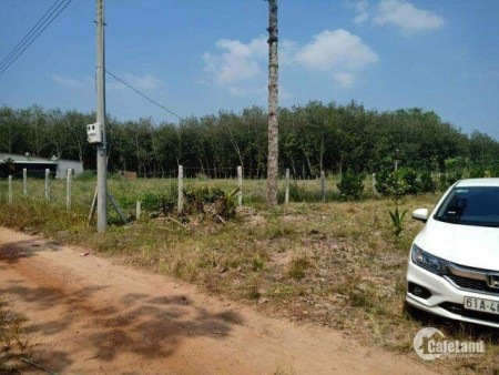 Đất Minh Hòa Dầu Tiếng Bán giá Cực Êm Trong Mùa Dịch