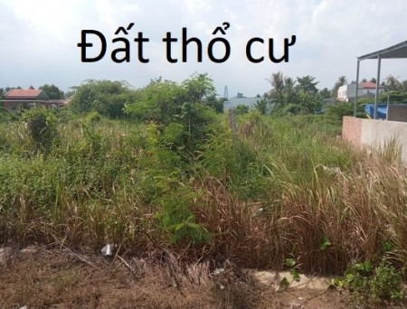 Còn vài lô đất mặt tiền đường có sổ riêng, chỉ với 500 triệu, chính chủ, làm việc nhanh