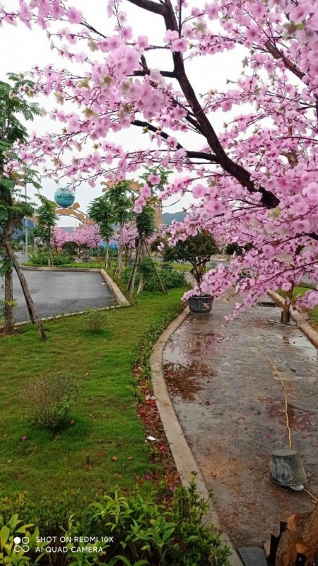 Đi đến slide 6