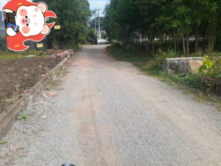 Bán Đất Bình dương giá rẻ 1100m2 520tr giá tháng 6/2021