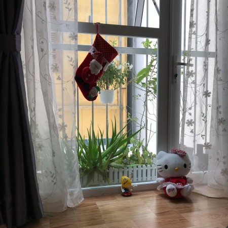 Đi đến slide 2