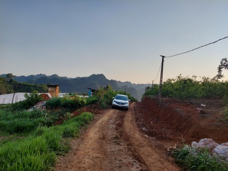 Bán lô 3000m2 vườn mận đâng thu hoạch. Sổ chung, tách sổ 50 năm trao tay