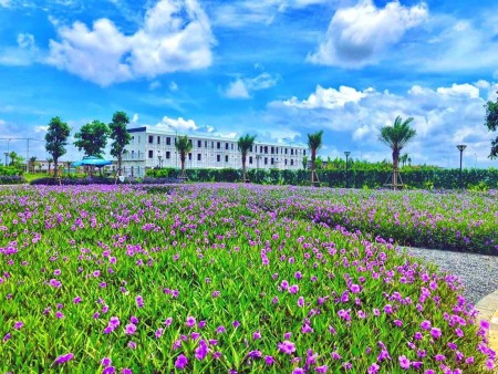 Lý do không thể bỏ lỡ đất nền The Sol City gần Chợ Hưng Long Bình Chánh có 1 không 2. LH 0909.423.916 Ms.Nga