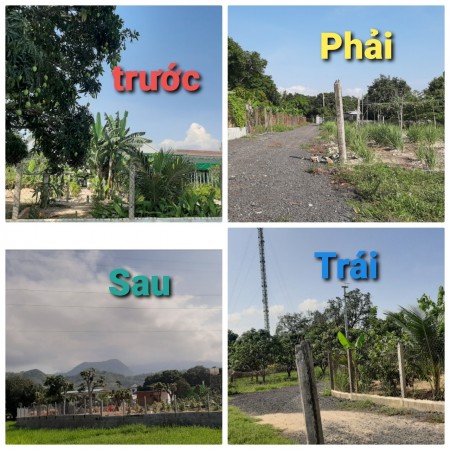 Bán Đất chợ Cam Tân, huyện Cam Lâm, Khánh Hòa, dân cư đông đúc 0905906256
