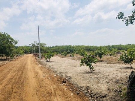 Đất Bình Dương giá rẻ chỉ có 500tr 1000m2 sổ hồng riêng