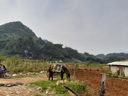 Đi đến slide 4
