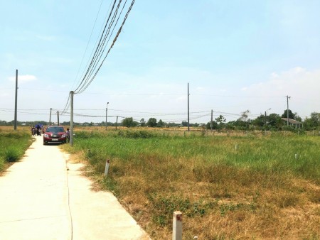Cần bán mảnh đất 300m2 thổ + 944m2 vườn, vuông vức, đường Ấp 3 xã Long An, Giá chỉ 3,1tr/m2